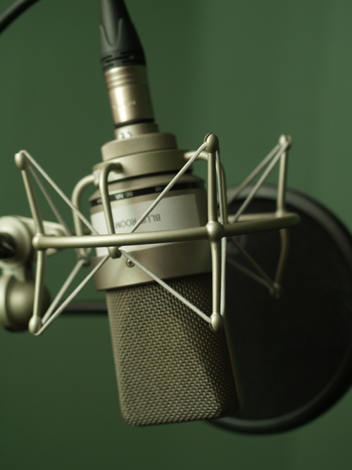 Voice Recording Microphone